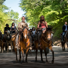 The Walking Dead