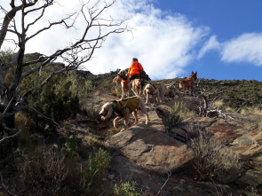 Imagen de Batidas jabalineras por daños en el Ampurdán - 6