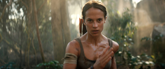 Imagen de Tomb Raider - 10