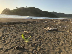 Imagen de De viaje: de Garachiné a Juradó - 1