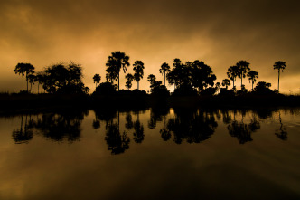 Imagen de La inundación del Okavango  - 13