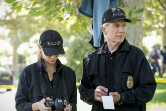Navy: Investigación criminal