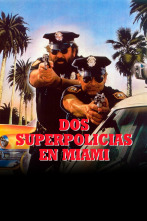 Dos superpolicías en Miami