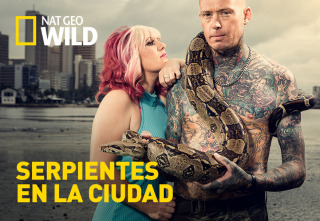 Imagen de Serpientes en la ciudad: Mamá mamba - 2