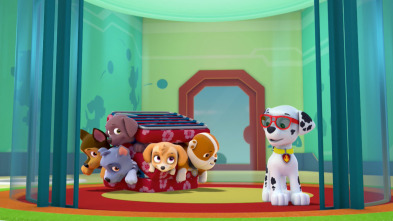 La Patrulla Canina - La Patrulla salva la minipatrulla de Alex / La Patrulla salva el diente perdido