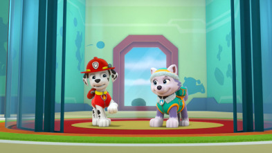 La Patrulla Canina - La Patrulla y la mofeta / La Patrulla y la cría de ballena