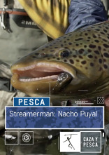 Imagen de Streamerman (T1): Nacho Puyal - 1