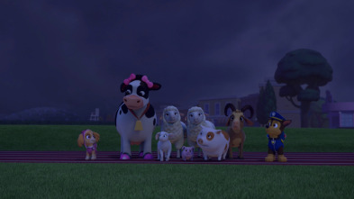 La Patrulla Canina - La Patrulla salva una fiesta de pijamas / La Patrulla salva la feria