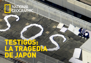 Imagen de Testigos: la tragedia de Japón - 2