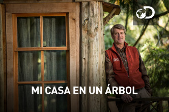 Mi casa en un árbol