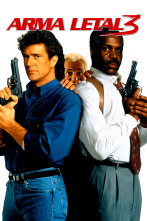 Imagen de Arma letal 3 - 1