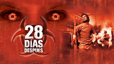 28 días después