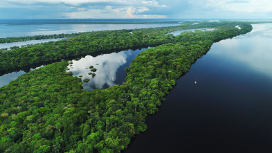 Grandes ríos: Amazonas