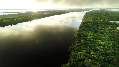 Grandes ríos: Amazonas