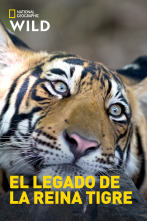 Imagen de El legado de la reina tigre - 1