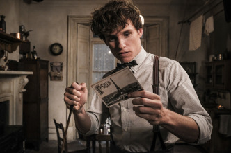 Imagen de Animales fantásticos: Los crímenes de Grindelwald - 6