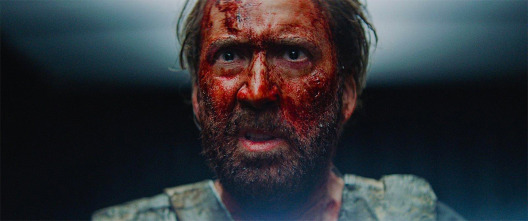 Imagen de Mandy - 4