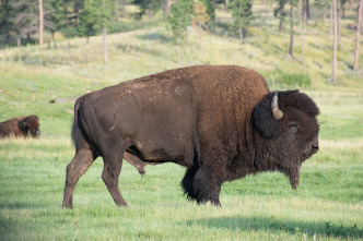 Imagen de Planeta hostil  - 5