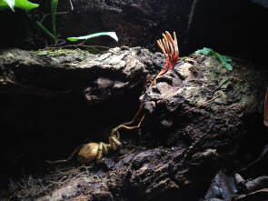 Imagen de Planeta hostil  - 6