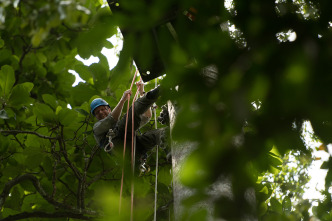 Imagen de Planeta hostil  - 7