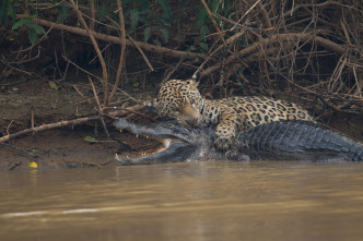 Imagen de Planeta hostil  - 8