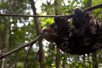 Imagen de Planeta hostil  - 9