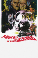 Imagen de Pánico en el Transiberiano - 1