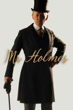 Mr. Holmes