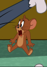 Imagen de El show de Tom y... (T3): Para volverse loco de atar - 1