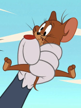 Imagen de El show de Tom y... (T3): Hogar Gatuno - 1