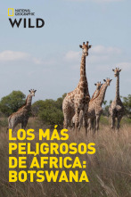 Imagen de Los más peligrosos de...: Sin piedad - 1