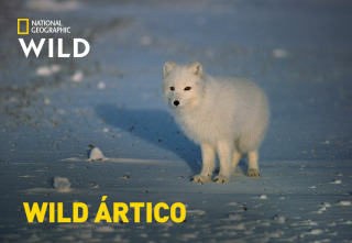 Wild Ártico 