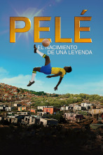 Imagen de (LSE) - Pelé, el nacimiento de una leyenda - 1