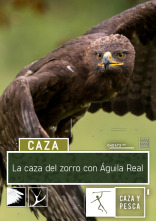 Imagen de La caza del  zorro con Águila Real - 1