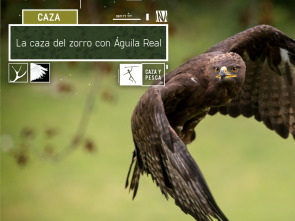 Imagen de La caza del  zorro con Águila Real - 2