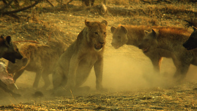 Imagen de Savage Kingdom  - 12