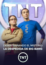 Imagen de Desentrañando el misterio: la despedida de Big Bang (VOS) - 1