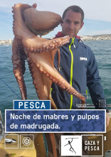 Imagen de Noches de mabres y pulpos de madrugada - 1