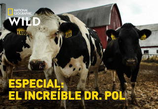 Imagen de Especial El increíble Dr Pol  - 7