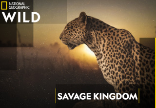 Savage Kingdom: El reino del terror