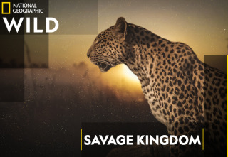 Imagen de Savage Kingdom: El reino del terror - 2