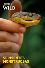 Imagen de Serpientes monstruosas - 1