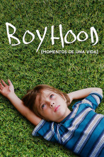 Imagen de Boyhood. Momentos de una vida - 1