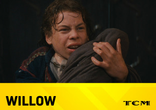 Imagen de Willow - 2