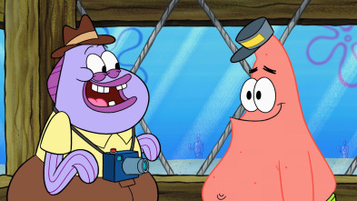 Bob Esponja - Fotos no, por favor / Atrapado en el tejado