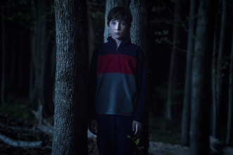 (LSE) - El hijo