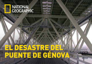 El desastre del puente de Génova