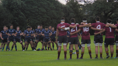 Historia del rugby: Un deporte profesional