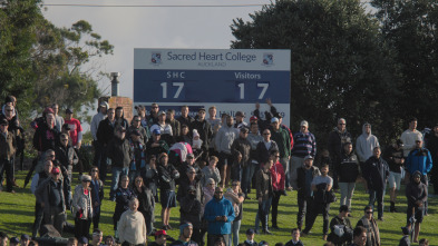 Historia del rugby: Un deporte profesional