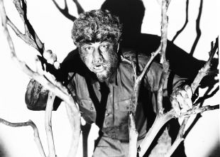 Imagen de El hombre lobo - 3